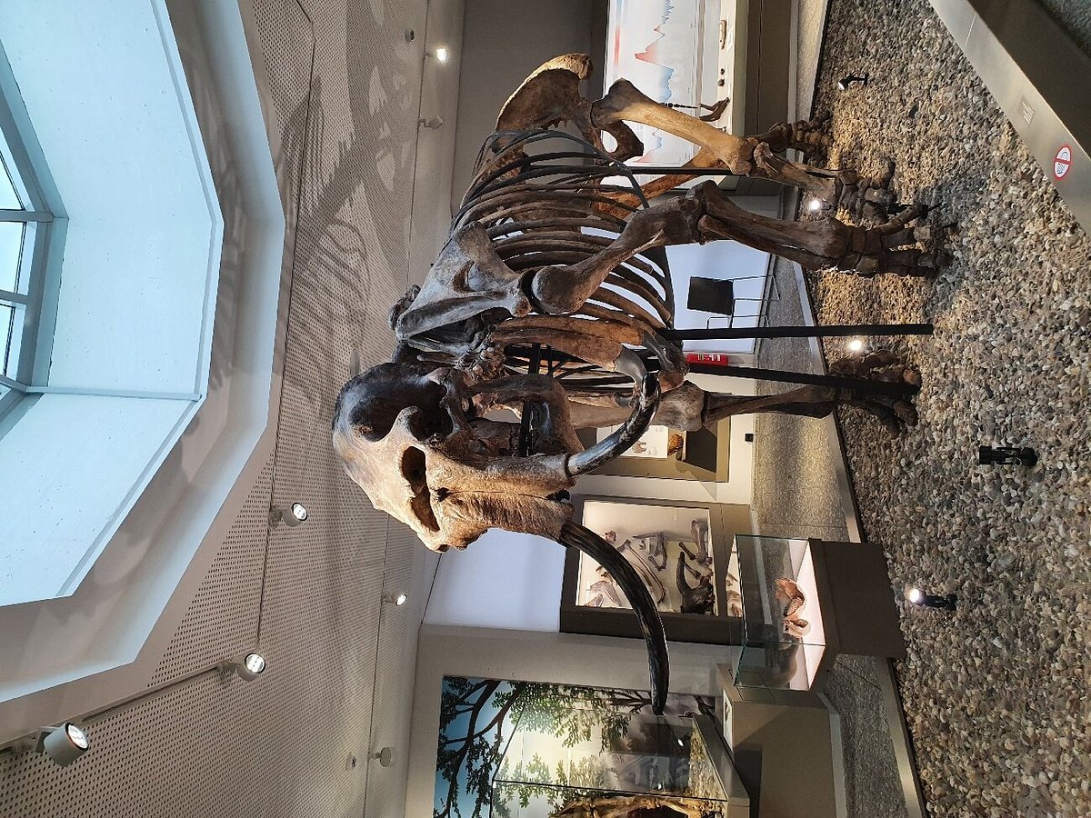 🎨 도르트문트 미술 및 문화사 박물관 (무제움 퓨어 쿤스트 운트 쿨투어게쉬히테)